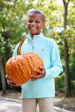 Load image into Gallery viewer, Hayword Half-Zip - Edisto Egg Blue