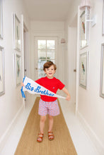 Load image into Gallery viewer, Picture Pennants - Various Styles