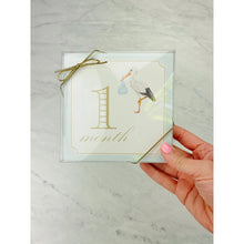 Load image into Gallery viewer, Monthly Milestone Cards by Katherine Kelly Design - Blue or Pink
