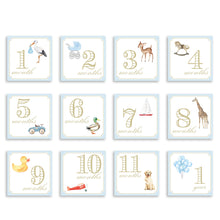 Load image into Gallery viewer, Monthly Milestone Cards by Katherine Kelly Design - Blue or Pink