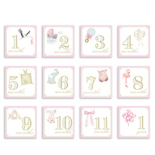 Load image into Gallery viewer, Monthly Milestone Cards by Katherine Kelly Design - Blue or Pink