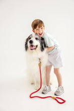 Load image into Gallery viewer, Sheffield Shorts - Grantley Gray Mini Gingham
