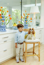 Load image into Gallery viewer, Dean&#39;s List Dress Shirt - Get In Line w/ Multicolor Stork
