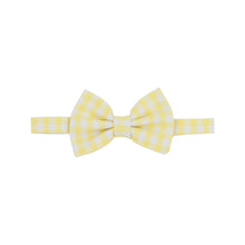 Load image into Gallery viewer, Baylor Bow Tie - Spring Prints, Spring Plaids &amp; Seersuckers
