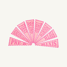 Load image into Gallery viewer, Picture Perfect Pennants - Blue or Pink
