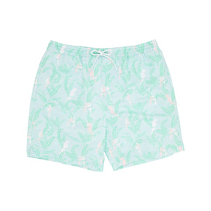 Toddy Swim Trunks - Parrot Island Palms - Men's