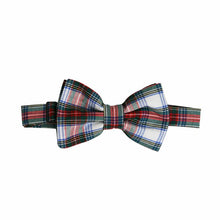 Load image into Gallery viewer, Baylor Bow Tie - Fall Tartans and Plaids
