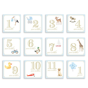 Monthly Milestone Cards by Katherine Kelly Design - Blue or Pink