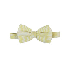 Load image into Gallery viewer, Baylor Bow Tie - Spring Plaids &amp; Seersuckers
