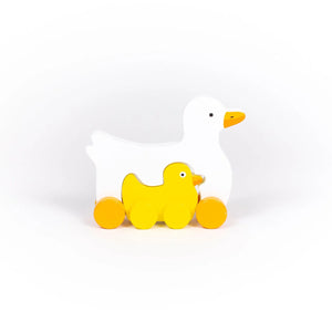 Duck Push & Pull Toy