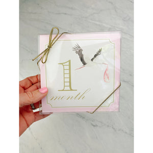 Monthly Milestone Cards by Katherine Kelly Design - Blue or Pink