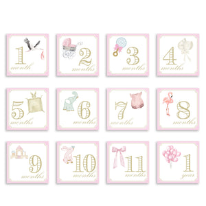 Monthly Milestone Cards by Katherine Kelly Design - Blue or Pink